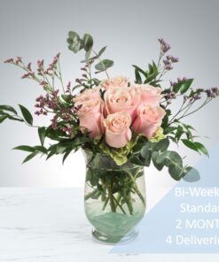 BI WEEKLY SUBSCRIPTION - STANDARD- 2 MONTH