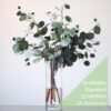 Botanico Foliage subscription standard 24 deliveries biweekly