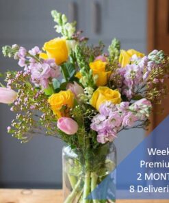 WEEKLY SUBSCRIPTION - PREMIUM- 2 MONTH