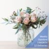 WEEKLY SUBSCRIPTION - STANDARD- 3 MONTH