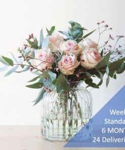 weekly flower subscription standard 24 deliveries